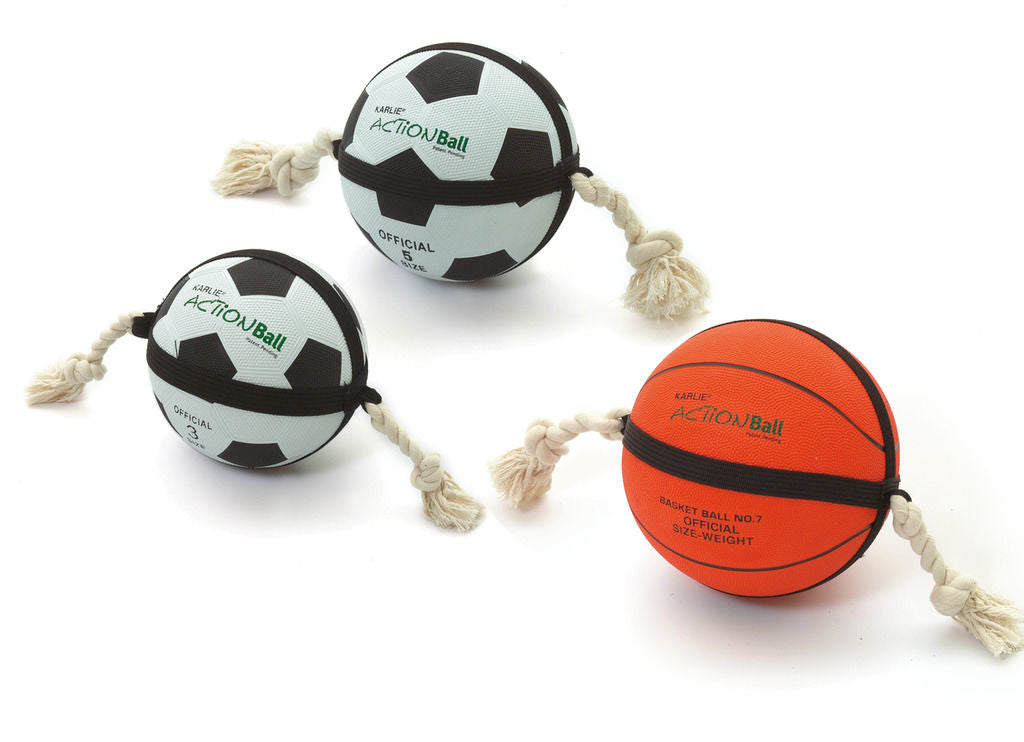 Action Ball hundeleke i plast aktivitetsball forfra