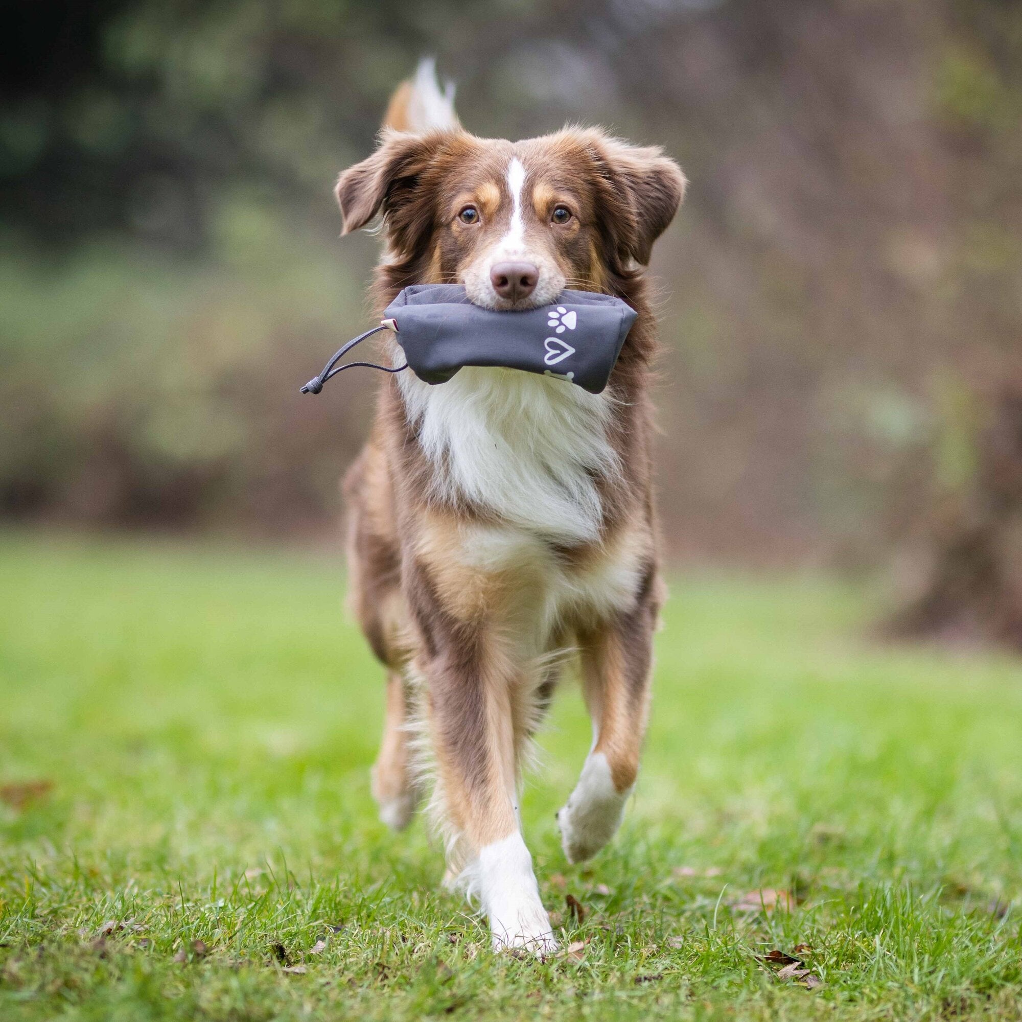 Adventure treningsdummy for hunder nylon fyllbar bakside