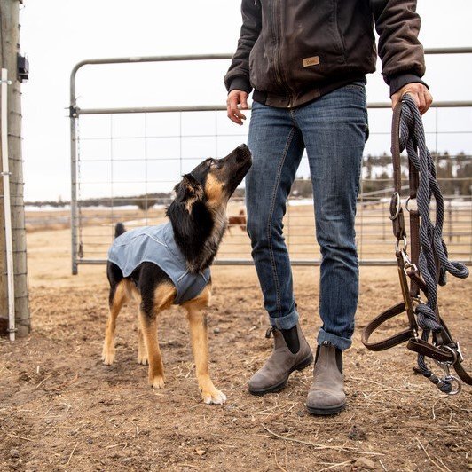 Detalj av stoff og refleks på Hundejakke Overcoat Utility vind- og vanntett XXS-XL - Ruffwear