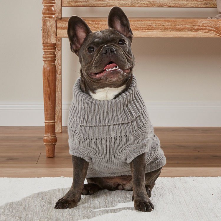 Flettemønstret hundegenser for mops og co 30-50 cm - Wolters montert på hund