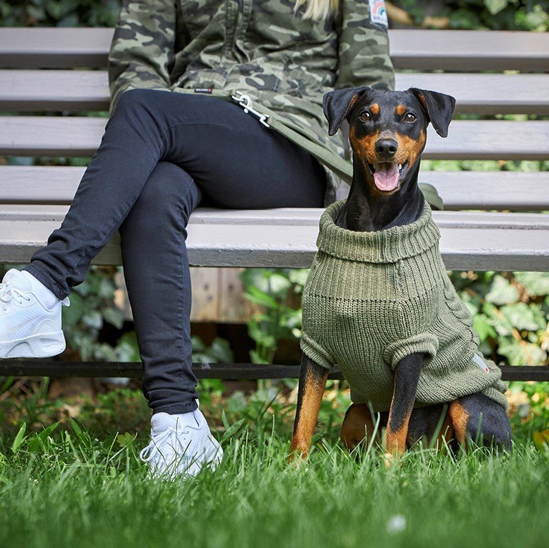 Flettemønstret hundegenser strikket 20 cm bakside