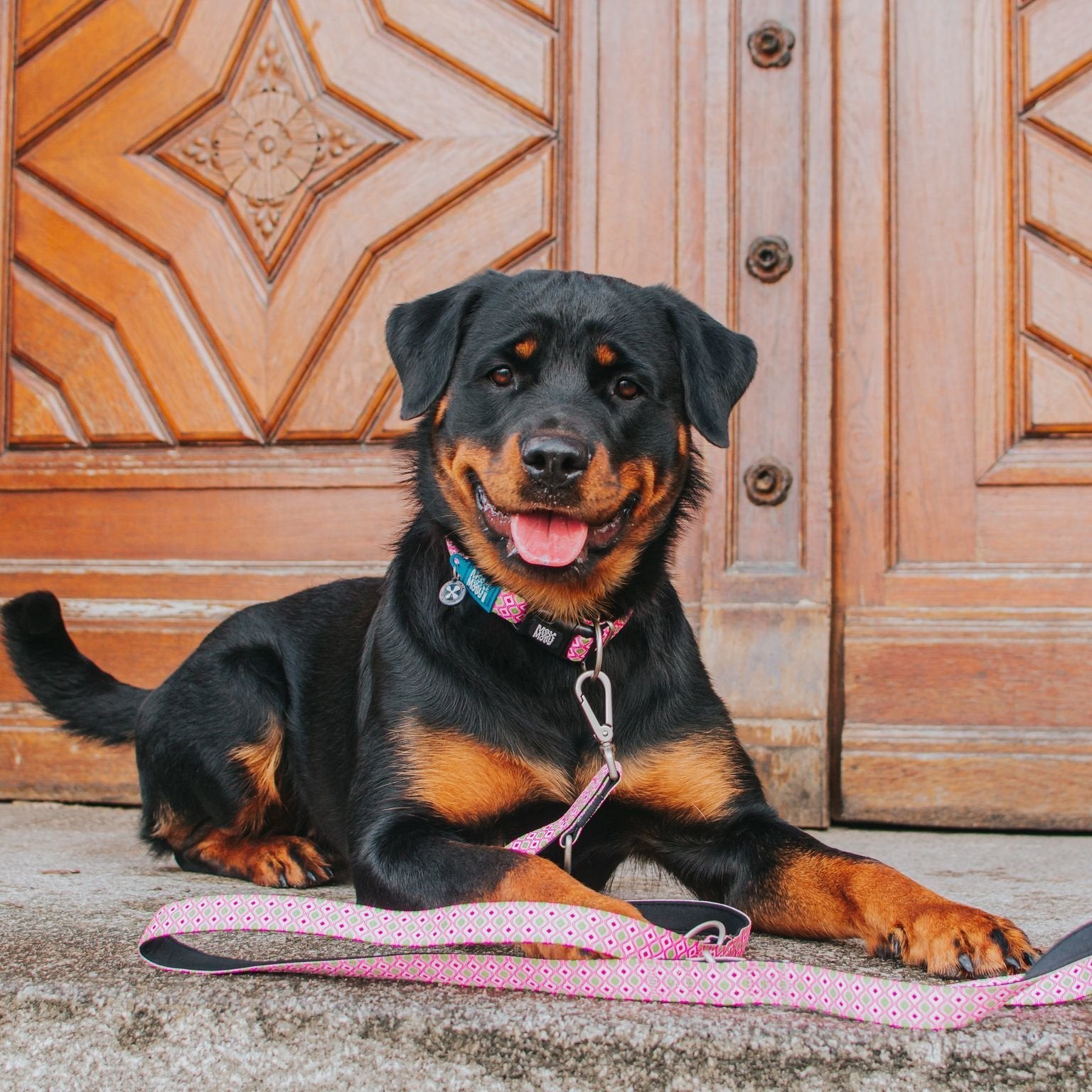 Hundehalsbånd Smart ID Retro Pink bakside