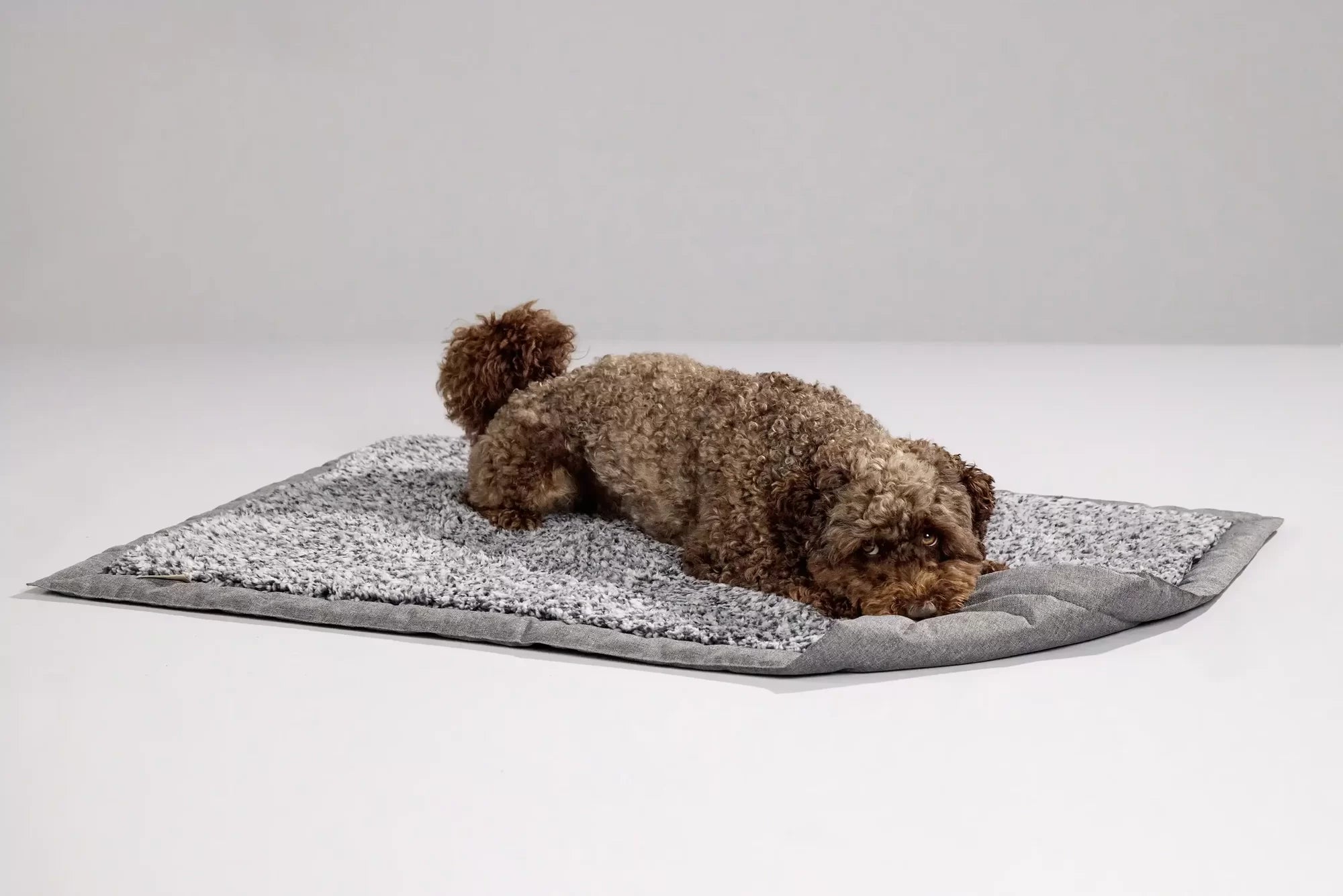 Detalj av materiale på Hundepledd Sweet Dreams sofateppe polyester - Wolters