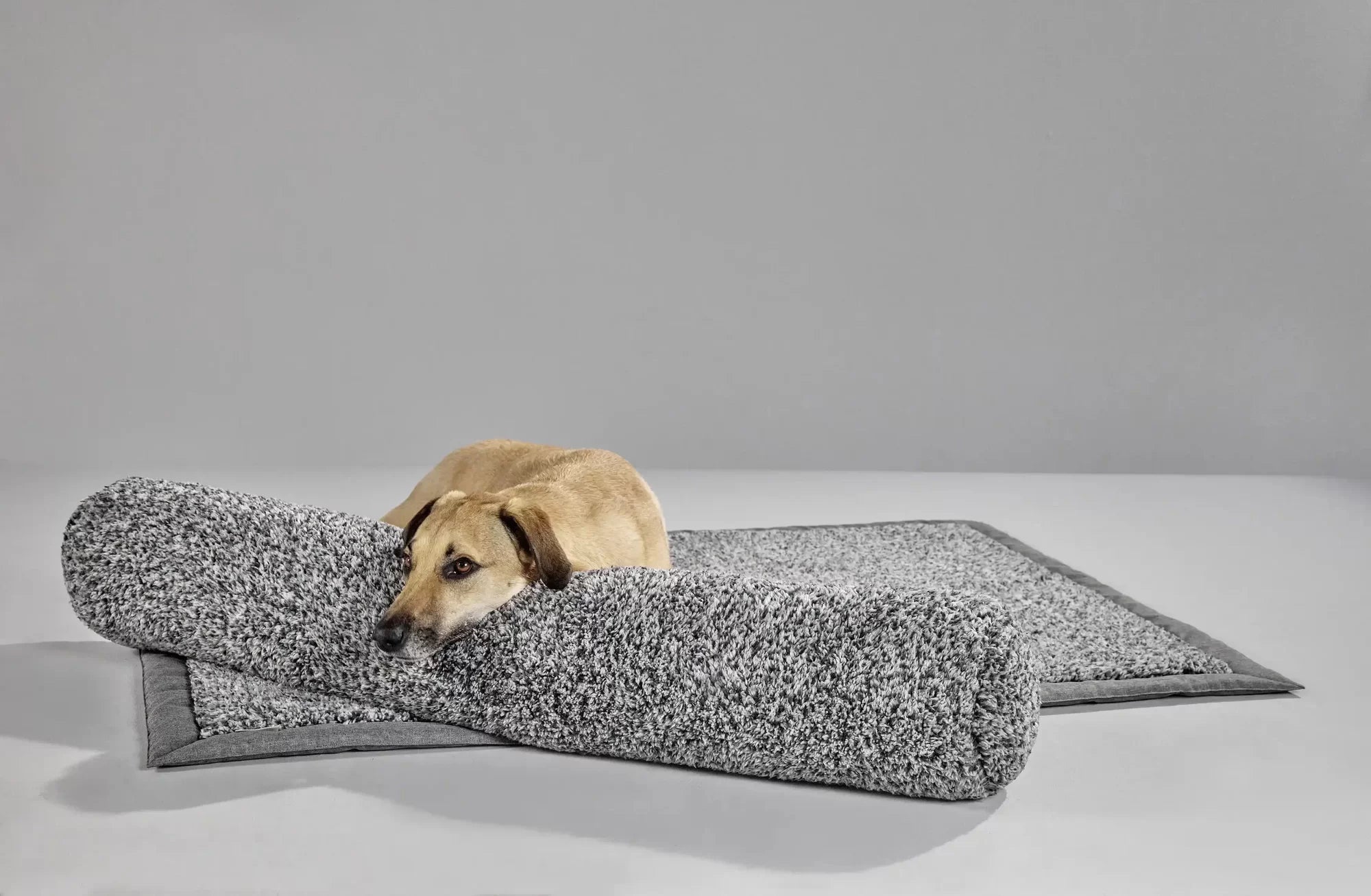 Hundepledd Sweet Dreams sofateppe polyester - Wolters montert på sofa