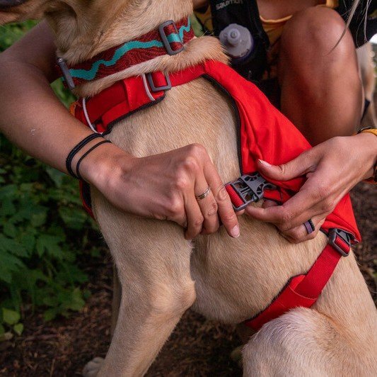 Hundesele Switchbak polstret justerbar nylon XS-L/XL bakside