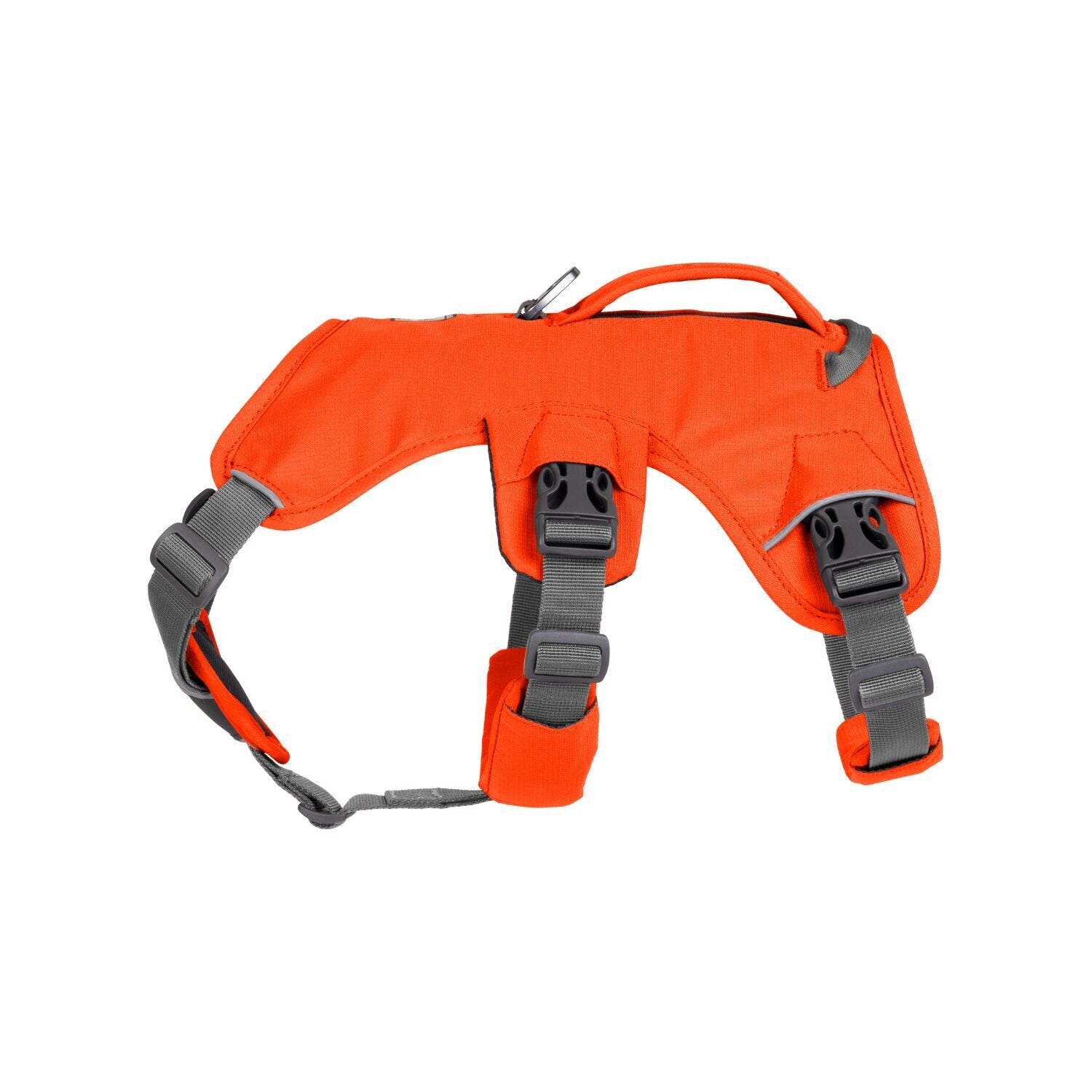 Montert Hundesele Web Master med håndtak XXS-L/XL på hund