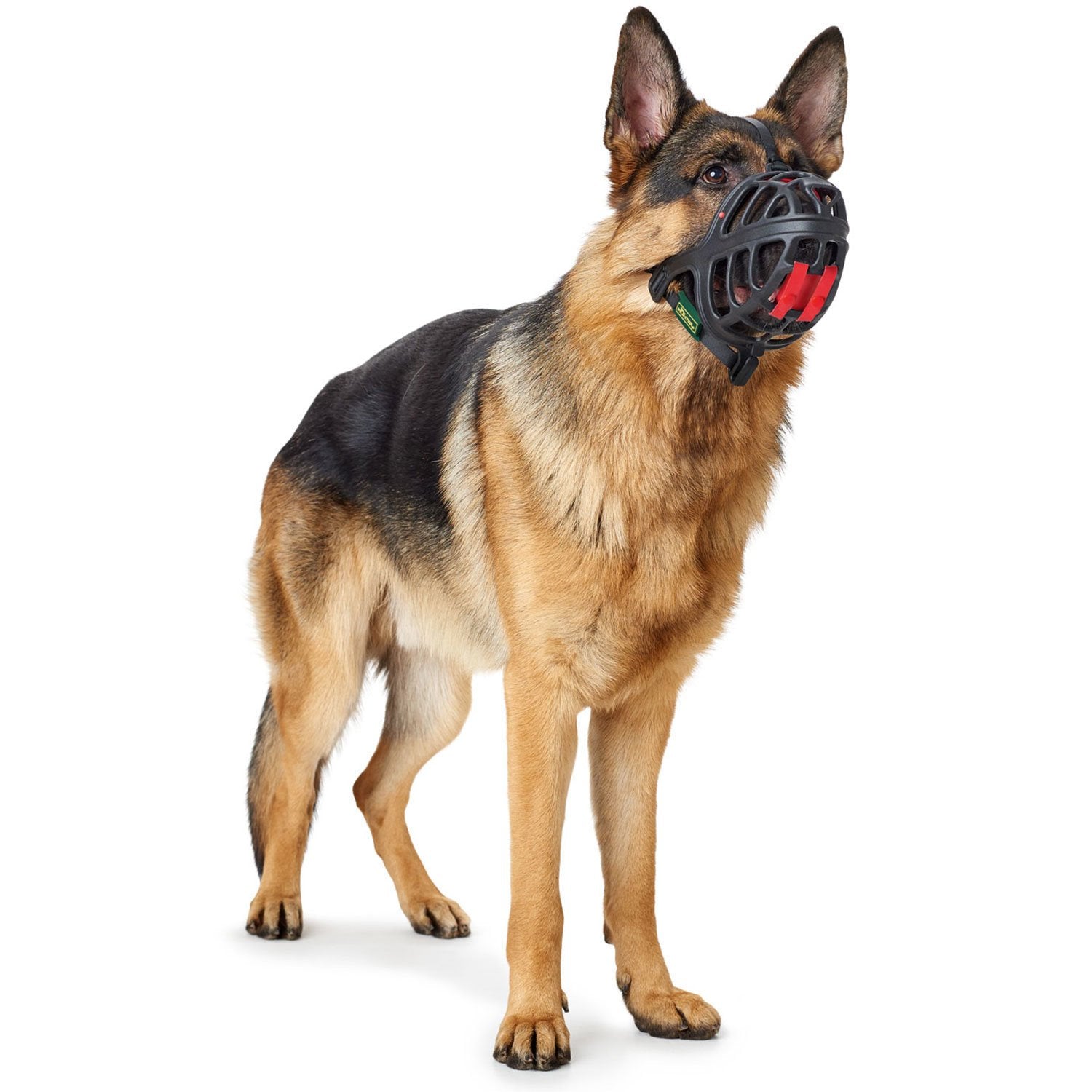 Munnkurv Albury i plast for hunder - Hunter nærbilde