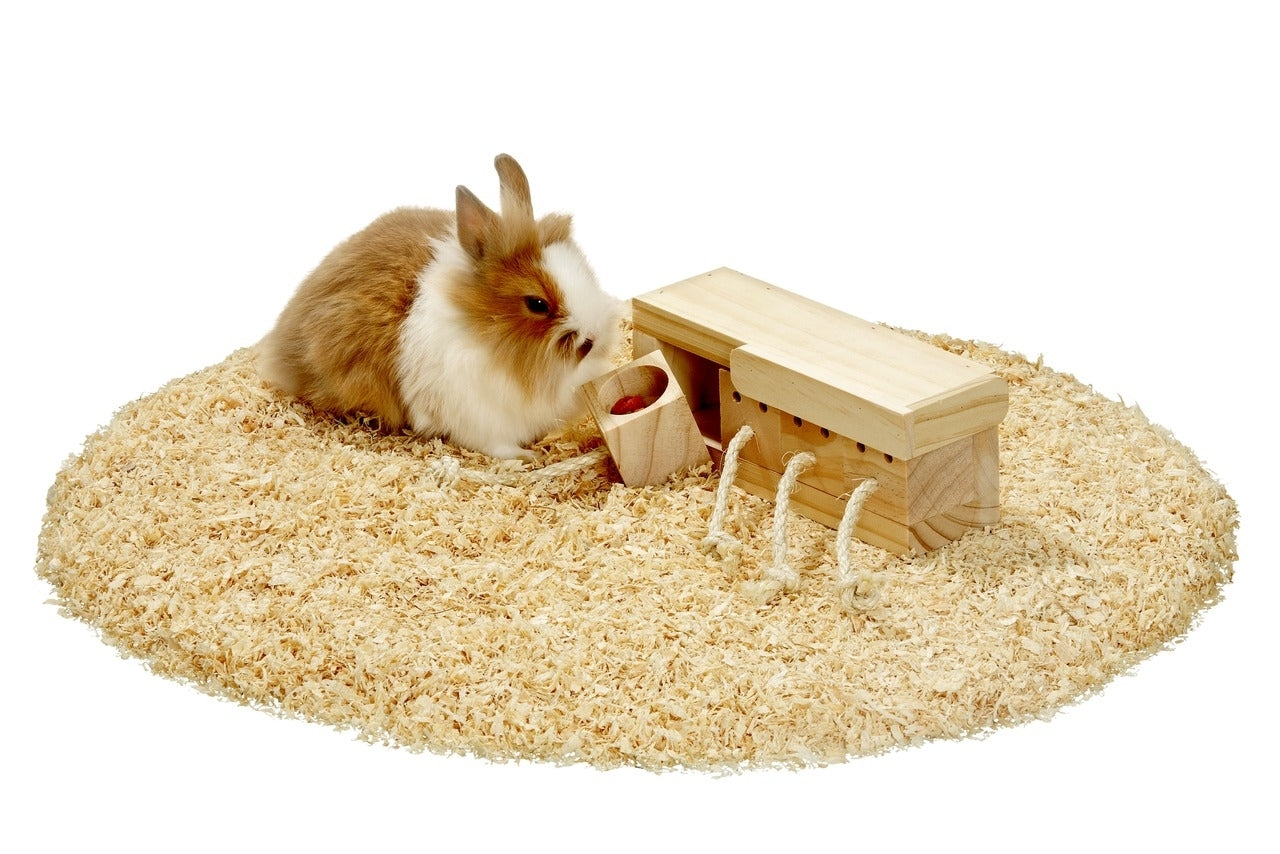 Rody Brain Train Cube aktivitetsleke i tre for smådyr bakside