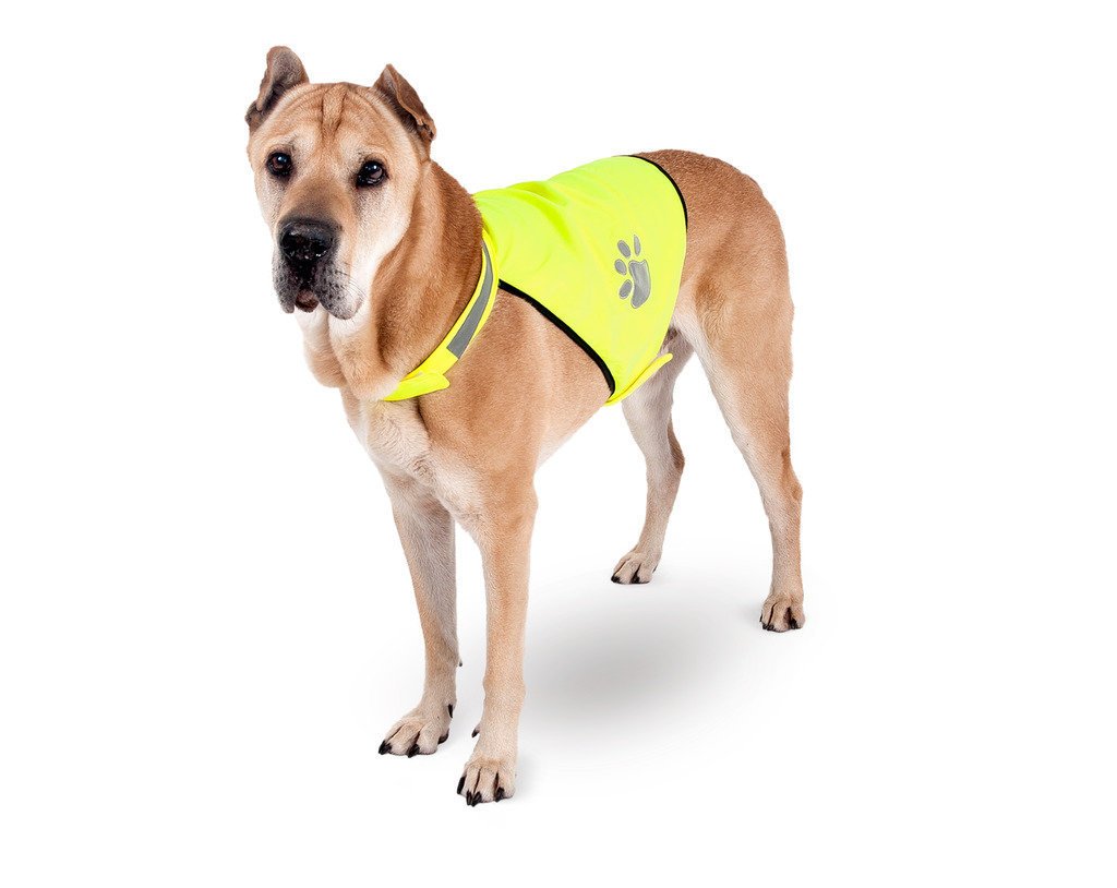 Sikkerhetsvest for hund Night Walk polyester - Karlie bakside