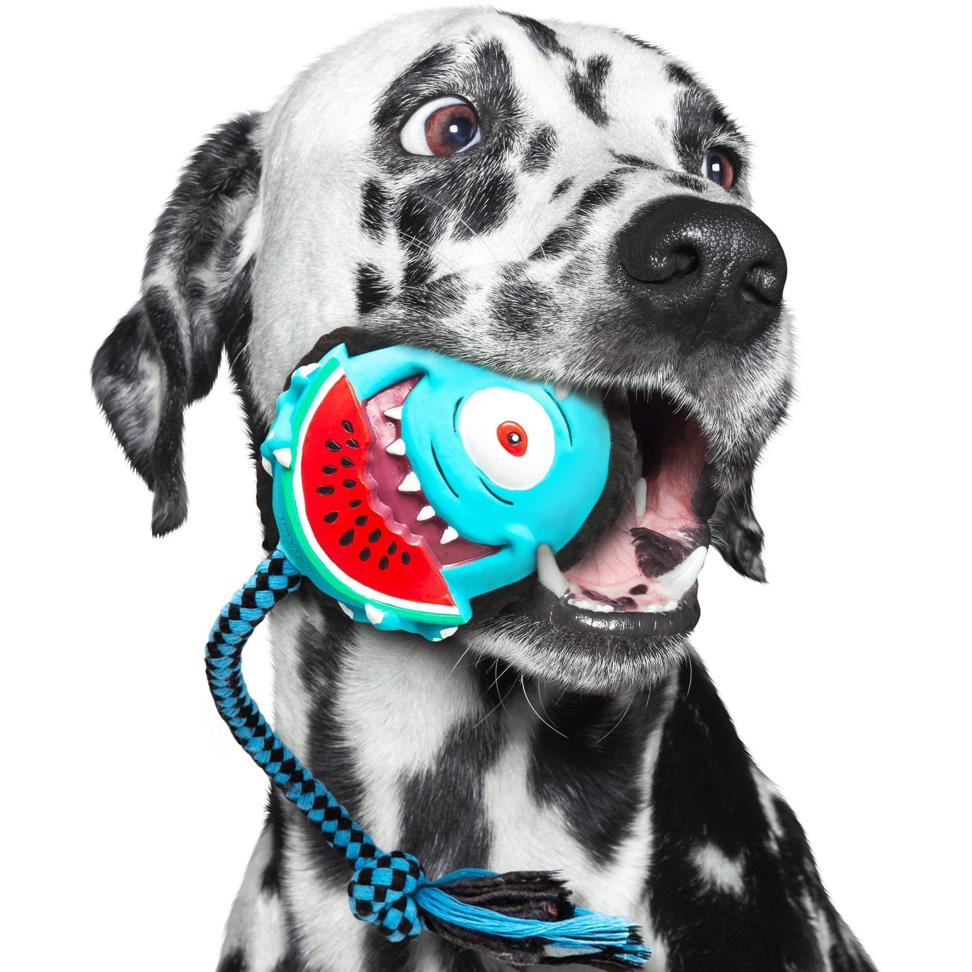 Snuggles hundeleke med pipelyd 13-15 cm bakside