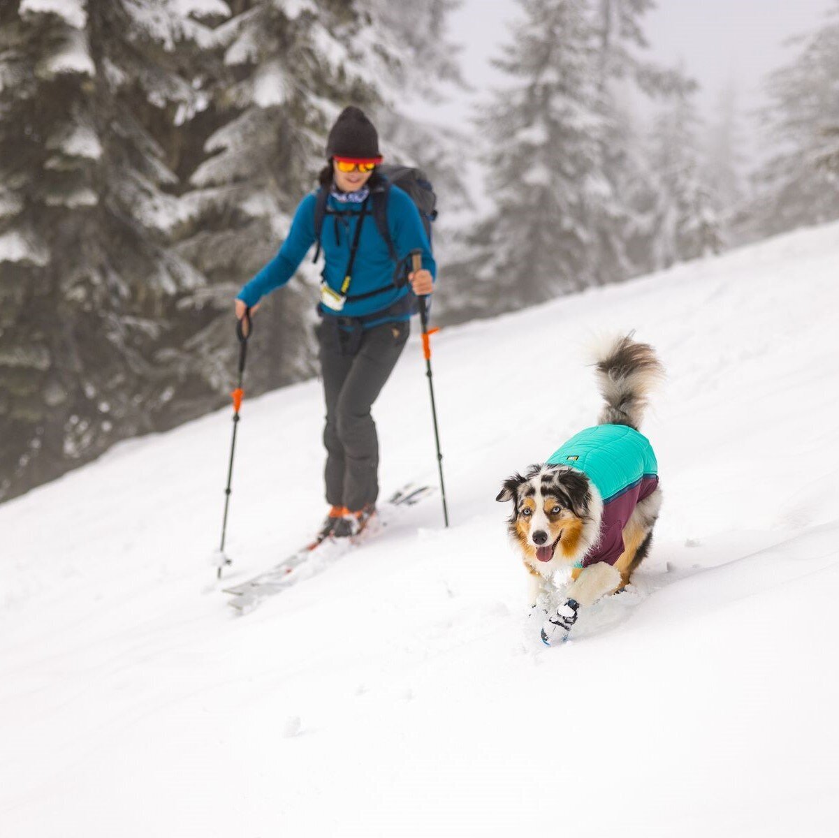 Vinterjakke Powder Hound for hund med ermer bakside